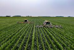 Felder Landwirtschaft